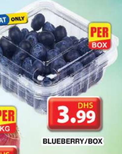 Blueberry BlueBerry available at Grand Hyper Market in UAE - Dubai