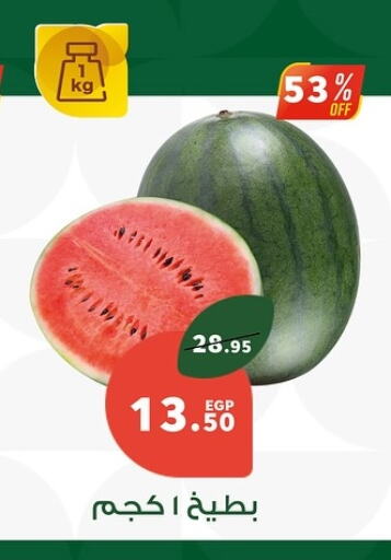 فاكهة طازجة in بنده, Egypt Offers - Egypt بطيخ available at بنده in Egypt - القاهرة