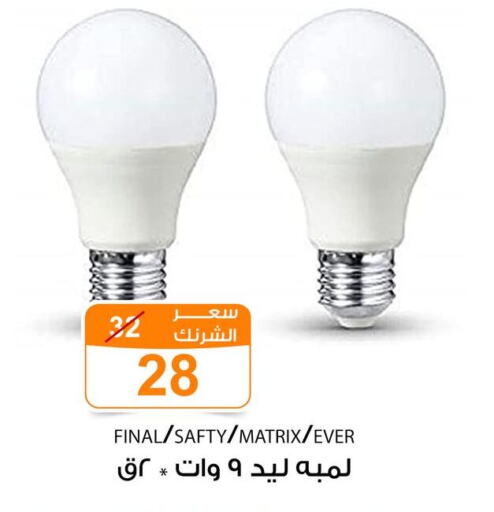 available at Gomla Market in Egypt - Cairo