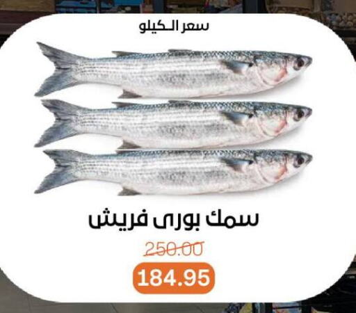 available at Beit El Gomla in Egypt - Cairo