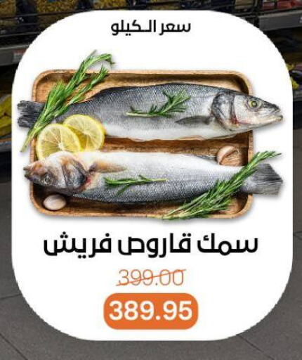 available at Beit El Gomla in Egypt - Cairo