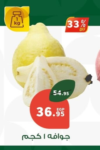 فاكهة طازجة in بنده, Egypt Offers - Egypt جوافة available at بنده in Egypt - القاهرة