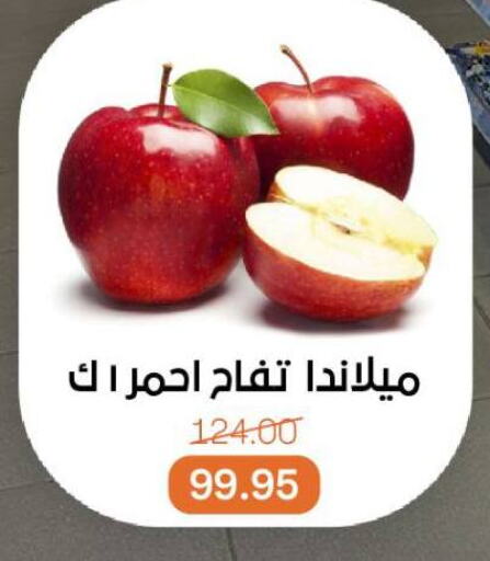فاكهة طازجة in بيت الجملة, Egypt Offers - Egypt تفاح available at بيت الجملة in Egypt - القاهرة