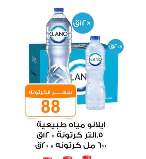 available at Gomla Market in Egypt - Cairo