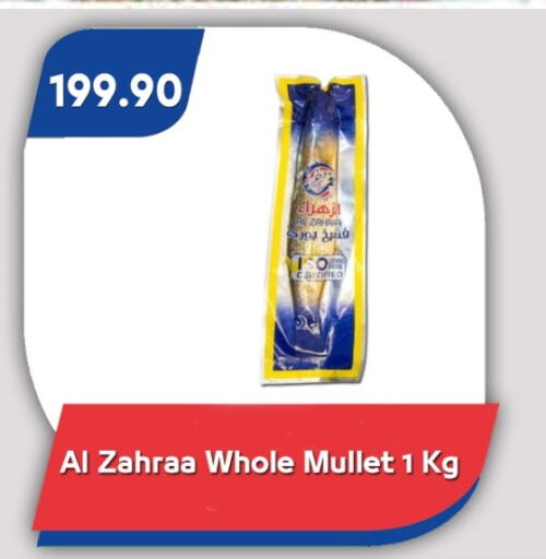 الأسماك الطازجة in باسم ماركت, Egypt Offers - Egypt available at باسم ماركت in Egypt - القاهرة