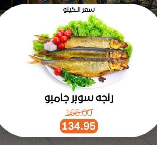 available at Beit El Gomla in Egypt - Cairo