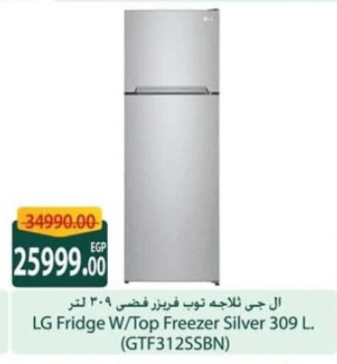 Large Appliances in Spinneys , Egypt Offers - Egypt LG Refrigerator available at Spinneys in Egypt - Cairo