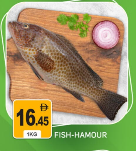available at سوق طلال in الإمارات العربية المتحدة , الامارات - الشارقة / عجمان