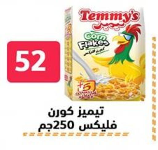 الحبوب والقطع in هايبر المدينة دمياط, Egypt Offers - Egypt تيميز حبوب الإفطار available at هايبر المدينة دمياط in Egypt - القاهرة