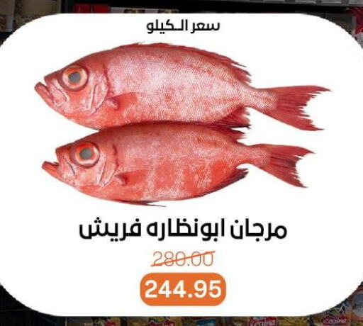 available at Beit El Gomla in Egypt - Cairo