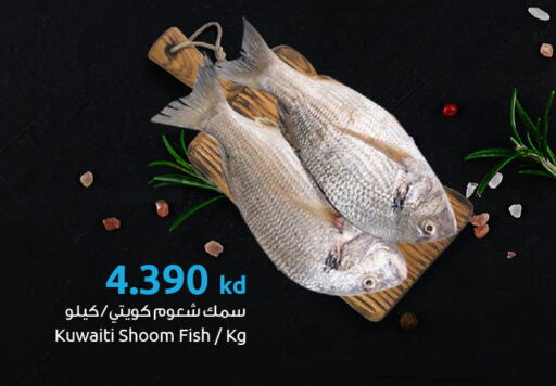 available at The Sultan Center in Kuwait - Ahmadi Governorate