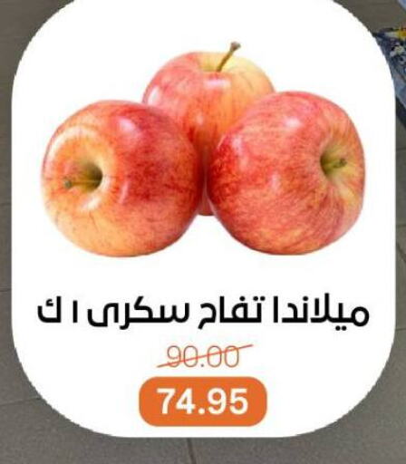 فاكهة طازجة in بيت الجملة, Egypt Offers - Egypt تفاح available at بيت الجملة in Egypt - القاهرة