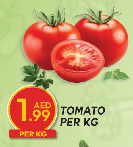 Tomato available at Dream Land in UAE - Dubai