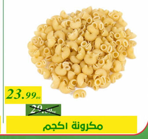 Pasta available at Green Tree Hypermarket - Sohag in Egypt - Cairo