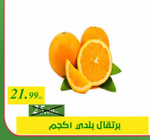 Orange available at Green Tree Hypermarket - Sohag in Egypt - Cairo