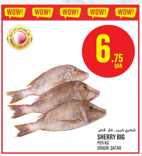 available at مونوبريكس in قطر - الدوحة
