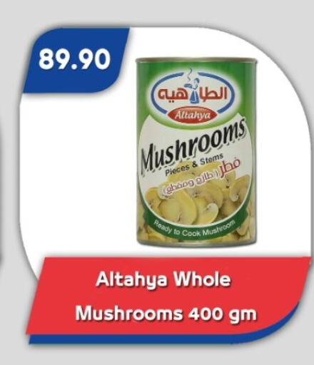 أغذية معلبة ومغلفة in باسم ماركت, Egypt Offers - Egypt Mushroom available at باسم ماركت in Egypt - القاهرة
