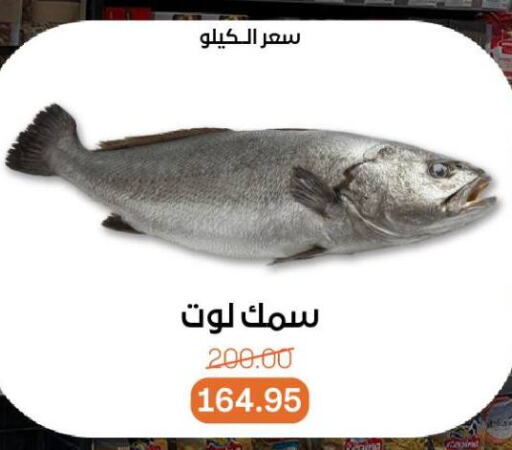 available at Beit El Gomla in Egypt - Cairo