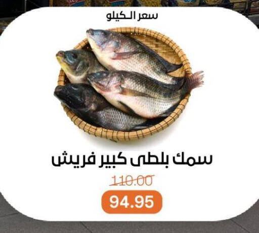 available at Beit El Gomla in Egypt - Cairo