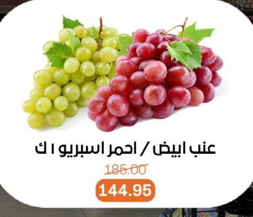 فاكهة طازجة in بيت الجملة, Egypt Offers - Egypt عنب available at بيت الجملة in Egypt - القاهرة
