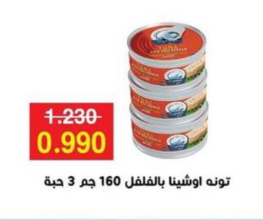 تونة available at جمعية مدينة صباح الأحمد التعاونية in الكويت - محافظة الجهراء