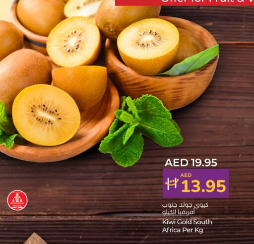 Kiwi from South Africa available at Lulu Hypermarket in UAE - Abu Dhabi
