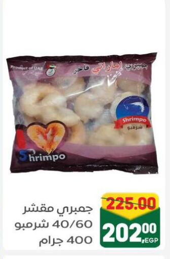سمك مجمد in جلهوم ماركت, Egypt Offers - Egypt available at جلهوم ماركت in Egypt - القاهرة
