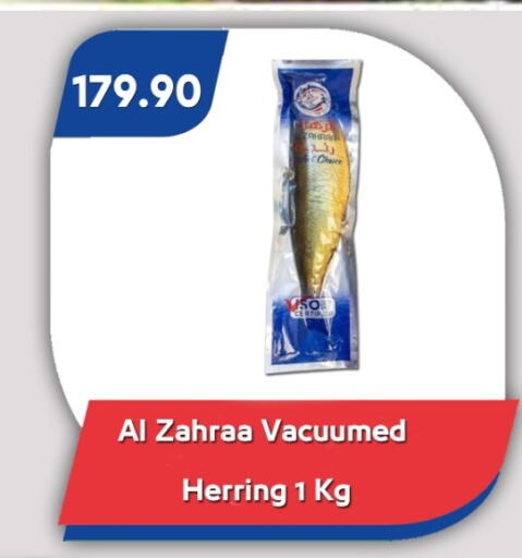 الأسماك الطازجة in باسم ماركت, Egypt Offers - Egypt available at باسم ماركت in Egypt - القاهرة