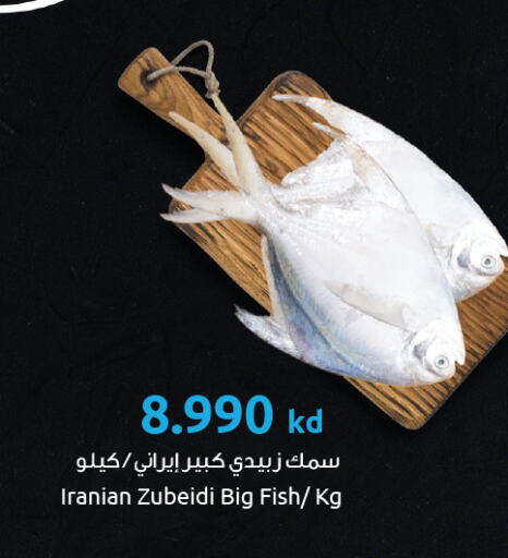 available at The Sultan Center in Kuwait - Ahmadi Governorate