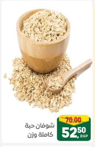 الحبوب والقطع in جلهوم ماركت, Egypt Offers - Egypt الشوفان available at جلهوم ماركت in Egypt - القاهرة