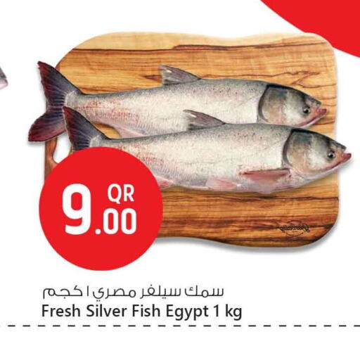 available at Safari Hypermarket in Qatar - Doha