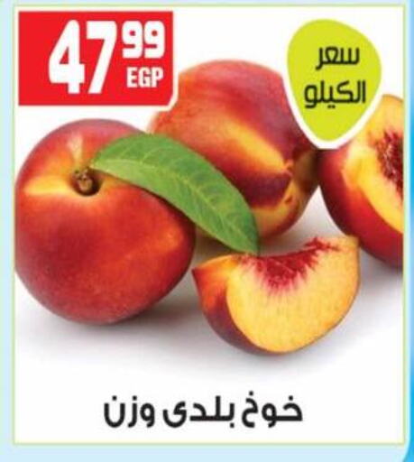 برقوق available at هايبر موسى in Egypt - القاهرة