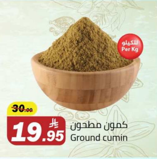 Salts, Spices & Paste in Hypermarket Stor, Saudi Arabia Offers - Saudi Arabia Spices available at Hypermarket Stor in KSA, Saudi Arabia, Saudi - Tabuk