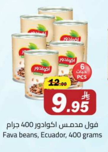 Canned & Packeted in Hypermarket Stor, Saudi Arabia Offers - Saudi Arabia Fava Beans available at Hypermarket Stor in KSA, Saudi Arabia, Saudi - Tabuk