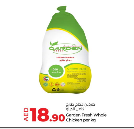 Fresh Whole Chicken available at Lulu Hypermarket in UAE - Abu Dhabi