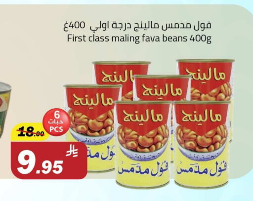 Canned & Packeted in Hypermarket Stor, Saudi Arabia Offers - Saudi Arabia Fava Beans available at Hypermarket Stor in KSA, Saudi Arabia, Saudi - Buraidah