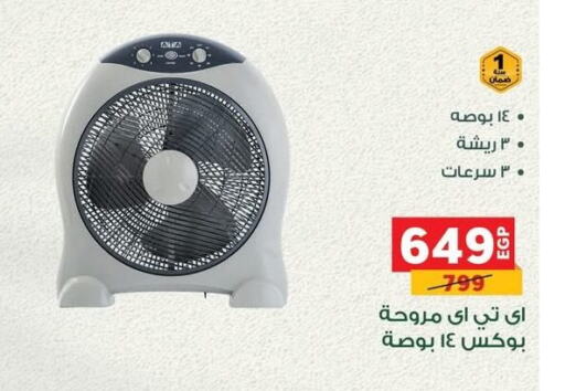 Small Appliances in Panda , Egypt Offers - Egypt Fan available at Panda in Egypt - Cairo