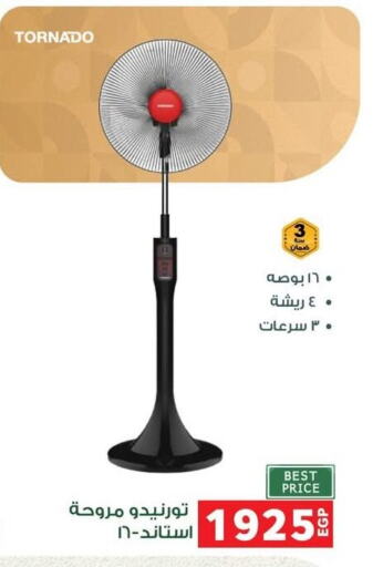 Small Appliances in Panda , Egypt Offers - Egypt TORNADO Fan available at Panda in Egypt - Cairo
