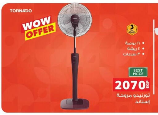 Small Appliances in Panda , Egypt Offers - Egypt TORNADO Fan available at Panda in Egypt - Cairo