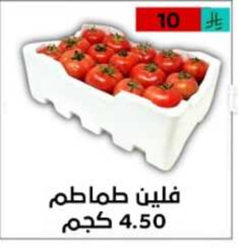 Tomato available at Lowest Price Markets in KSA, Saudi Arabia, Saudi - Riyadh