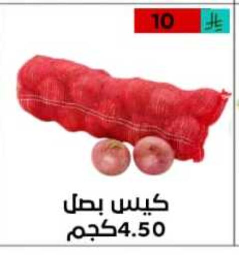 Onion available at Lowest Price Markets in KSA, Saudi Arabia, Saudi - Riyadh