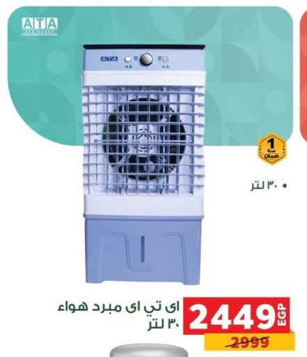 Small Appliances in Panda , Egypt Offers - Egypt available at Panda in Egypt - Cairo