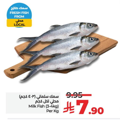 available at LULU Hypermarket in KSA, Saudi Arabia, Saudi - Jubail