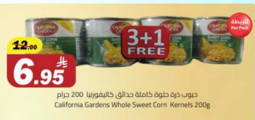 Canned & Packeted in Supermarket Stor, Saudi Arabia Offers - Saudi Arabia CALIFORNIA available at Supermarket Stor in KSA, Saudi Arabia, Saudi - Riyadh
