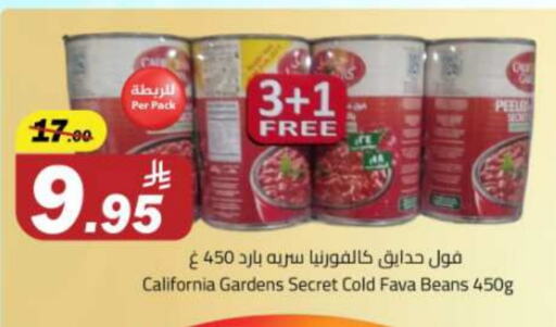 Canned & Packeted in Supermarket Stor, Saudi Arabia Offers - Saudi Arabia CALIFORNIA Fava Beans available at Supermarket Stor in KSA, Saudi Arabia, Saudi - Riyadh