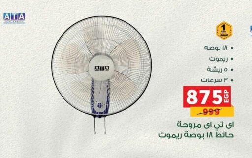 Small Appliances in Panda , Egypt Offers - Egypt Fan available at Panda in Egypt - Cairo