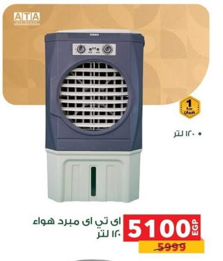 Small Appliances in Panda , Egypt Offers - Egypt available at Panda in Egypt - Cairo