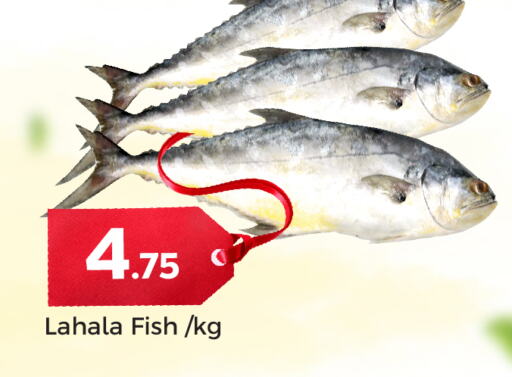available at باريس هايبرماركت in قطر - الوكرة