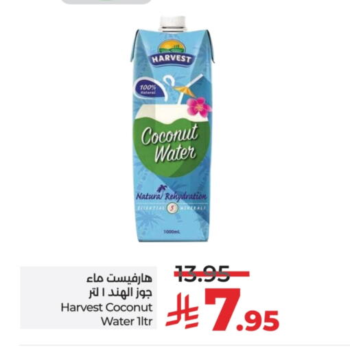 Coconut available at LULU Hypermarket in KSA, Saudi Arabia, Saudi - Yanbu