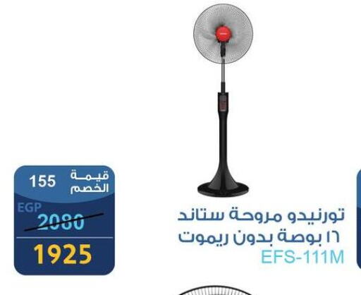 Small Appliances in Fathalla Market , Egypt Offers - Egypt TORNADO Fan available at Fathalla Market in Egypt - Cairo